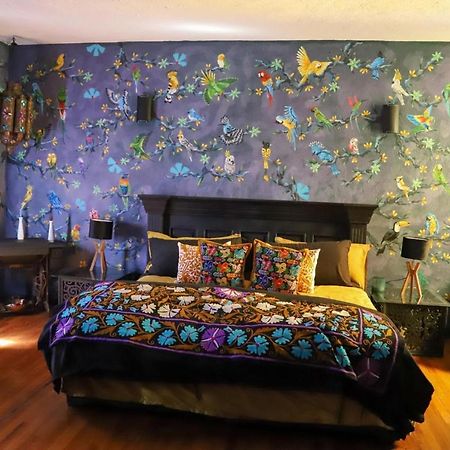 Boutique Hotel And Gallery In San Angel Inn Mexico Extérieur photo