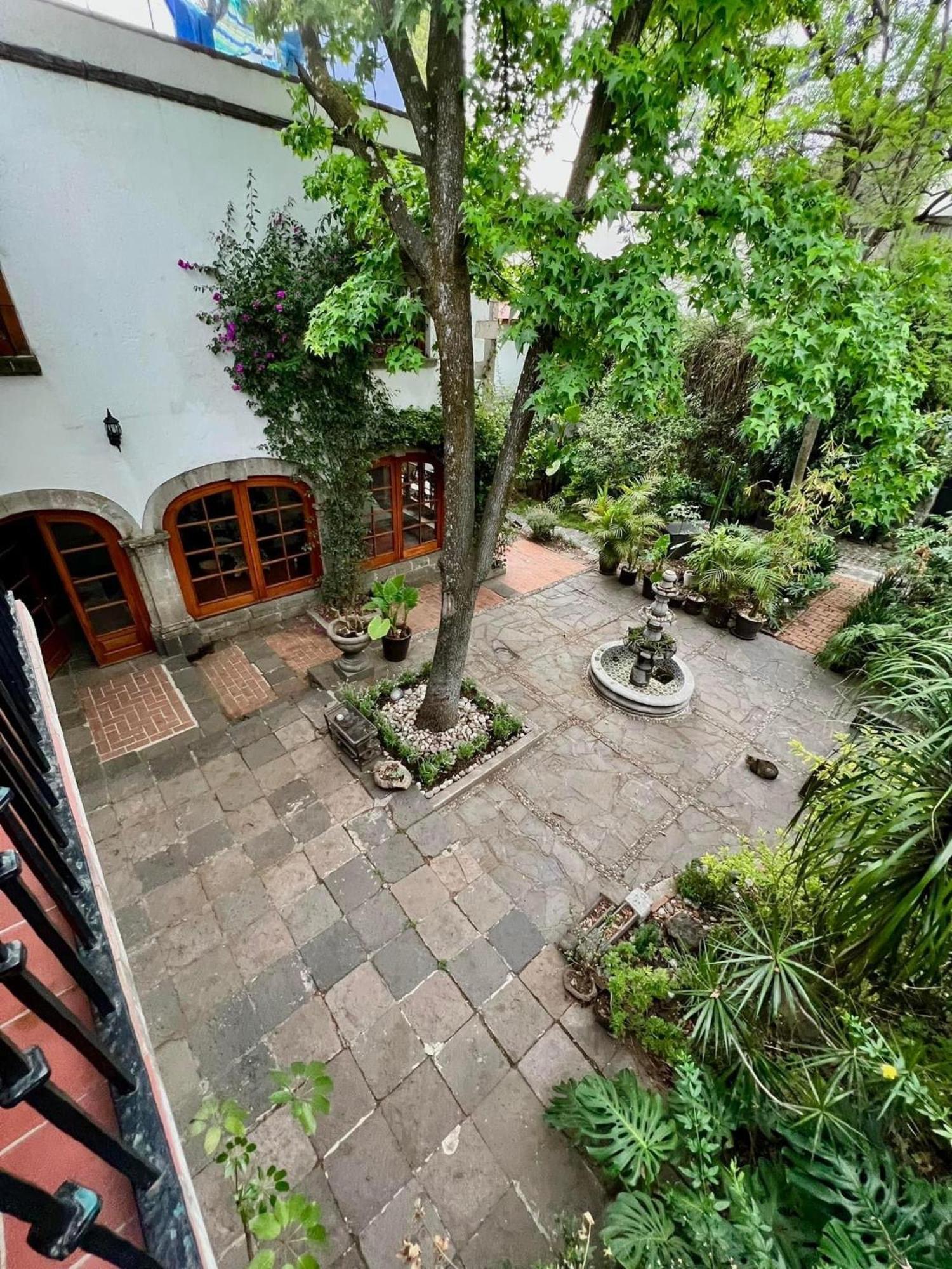 Boutique Hotel And Gallery In San Angel Inn Mexico Extérieur photo